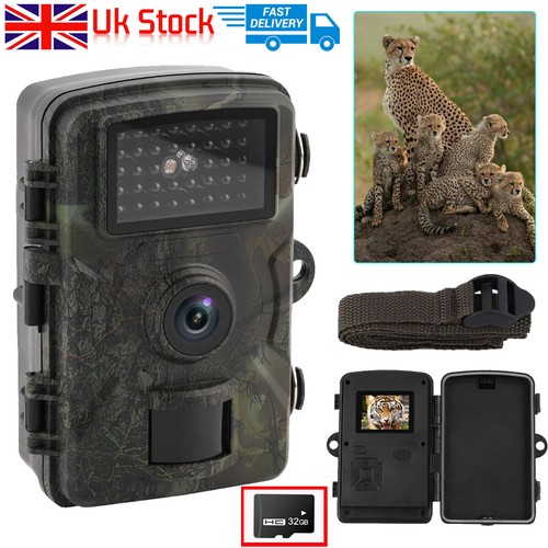 Wildlife trail camera night - 4k,
